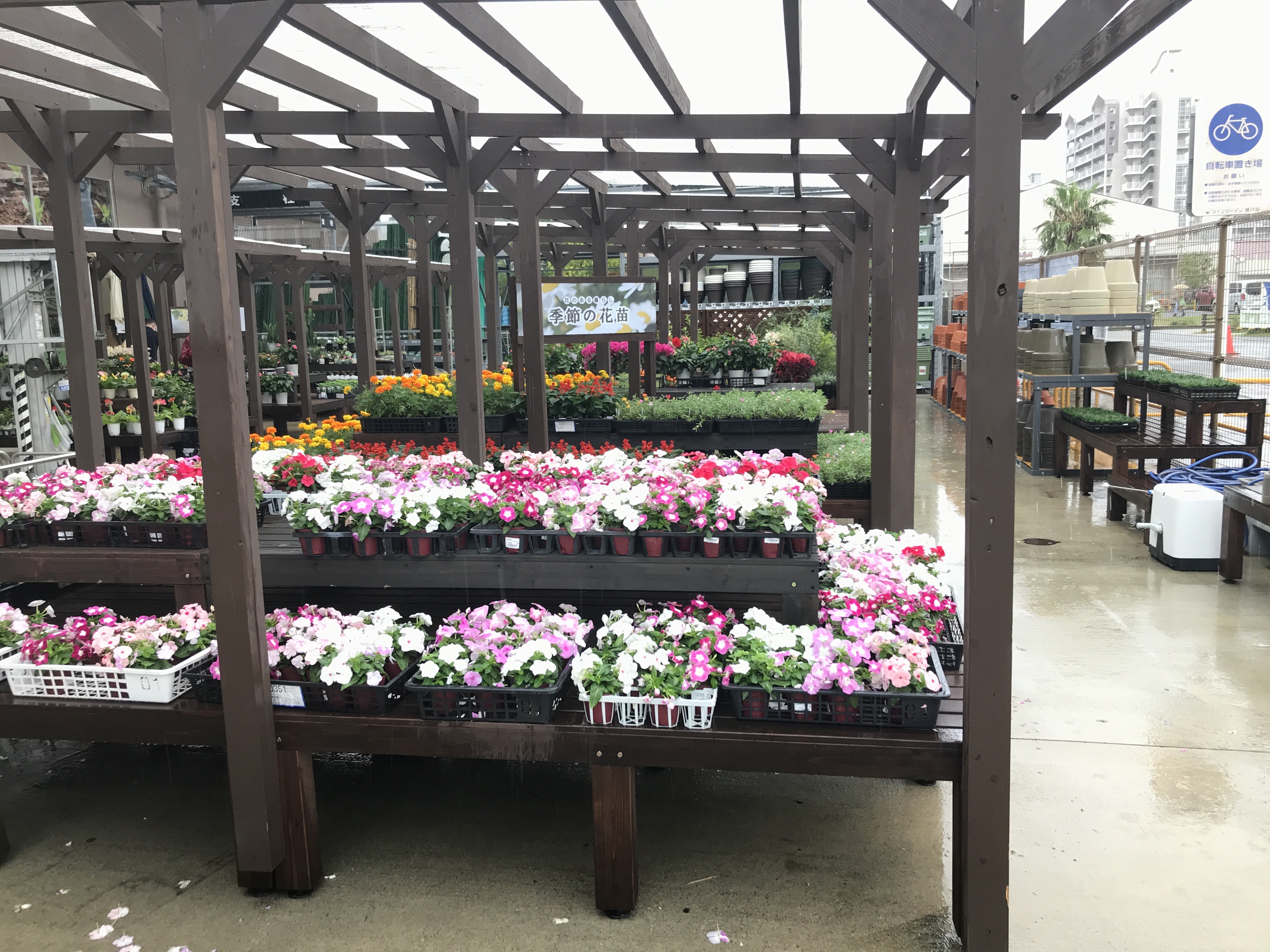 コーナン南芦屋浜店の店舗情報 兵庫県 芦屋市