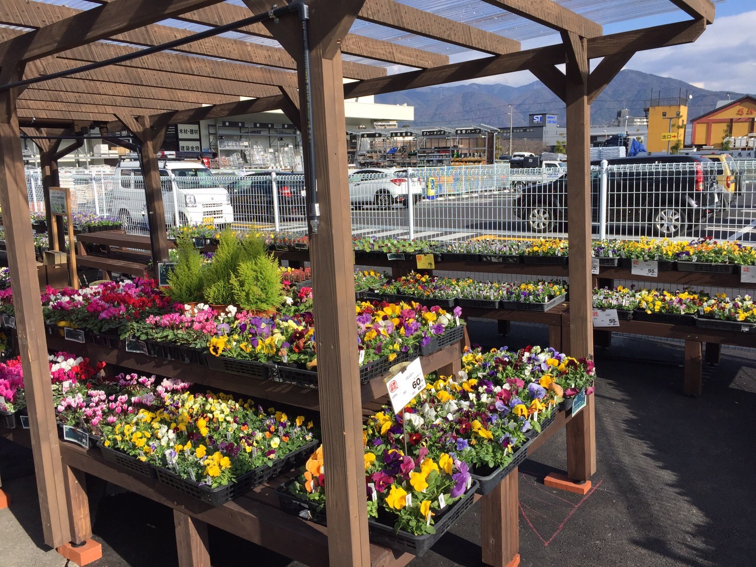 コーナン亀岡大井店の店舗情報 京都府 亀岡市